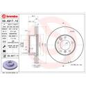Bremssatz (2 Bremsscheiben) BREMBO - 09.A917.11