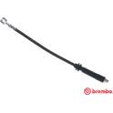 Bremsschlauch BREMBO - T 10 017
