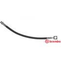 Bromsslang BREMBO - T 59 081