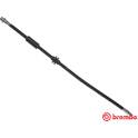 Flexible de frein BREMBO - T 06 036