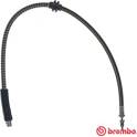 Flexible de frein BREMBO - T 06 048