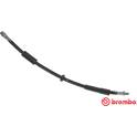 Flexible de frein BREMBO - T 11 016