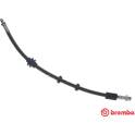 Flexible de frein BREMBO - T 23 208
