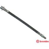 Flexible de frein BREMBO - T 24 037