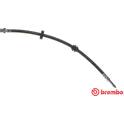 Flexible de frein BREMBO - T 24 117