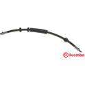 Flexible de frein BREMBO - T 24 125
