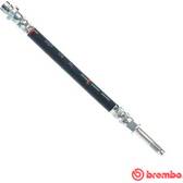 Flexible de frein BREMBO - T 24 144