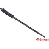 Flexible de frein BREMBO - T 61 041
