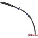 Flexible de frein BREMBO - T 61 123