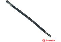 Flexible de frein