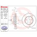 Brake disc set (2) BREMBO - 09.7376.11