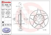 Brake disc set (2)