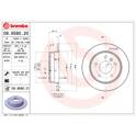 Brake disc set (2) BREMBO - 08.9580.21