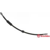 Remslang BREMBO - T 06 038