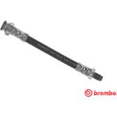 Remslang BREMBO - T 23 190