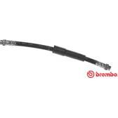 Remslang BREMBO - T 23 194