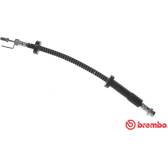 Remslang BREMBO - T 24 134
