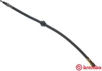 Remslang