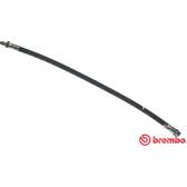 Remslang BREMBO - T 68 025