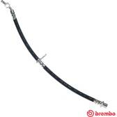 Remslang BREMBO - T 83 095