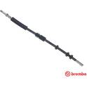 Remslang BREMBO - T 85 139