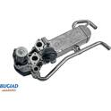EGR Valve BUGIAD - BSP25011