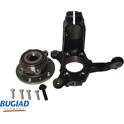 Fusée d'essieu BUGIAD - BSP20676PROKIT