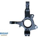 Stub Axle, wheel suspension BUGIAD - BSP25373