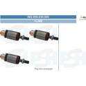 Ancorina, Starter BV PSH - 062.000.030.080
