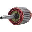 Ancorina, Starter BV PSH - 062.000.253.000
