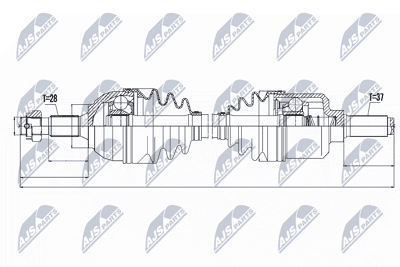 Cardan NTY NPW-CT-052