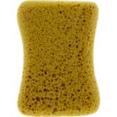 Grote spons Carlinéa - 011012