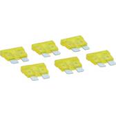 Fusibili 20 A - x 6 CARPOINT - 1623924