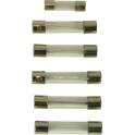 Fusibles surtidos - x 6 CARPOINT - 1623901