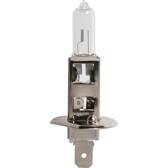 H1 55W 12V P14.5S lamp (doos) CARPOINT - 0725011