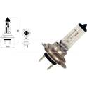 Ampoule (Phare longue portée) CARPRISS - 79780240