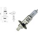 Gloeilamp- grootlicht CARPRISS - 79780232