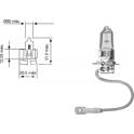 Glühlampe, Fernscheinwerfer CARPRISS - 79780246