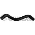 Durite radiateur CAUTEX - 011343
