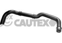 Durite radiateur