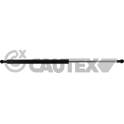 Gas Spring, boot/cargo area CAUTEX - 773067