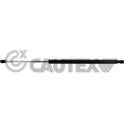 Gas Spring, boot/cargo area CAUTEX - 773433