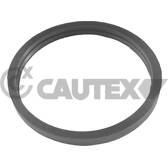 Coolant Flange CAUTEX - 955241