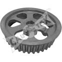 Pignon- pompe d'injection CAUTEX - 021358