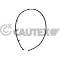 Verteilerrohr, Kraftstoff CAUTEX - 757248