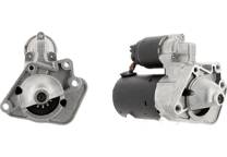 Startmotor (Gereviseerd)