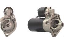 Startmotor (Gereviseerd)