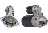 Startmotor (Gereviseerd)