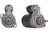 Startmotor (Gereviseerd)