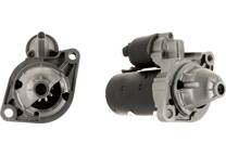 Startmotor (Gereviseerd)